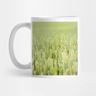 Common Wheat Mug